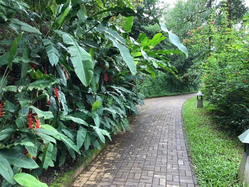 Poetree Thekkady